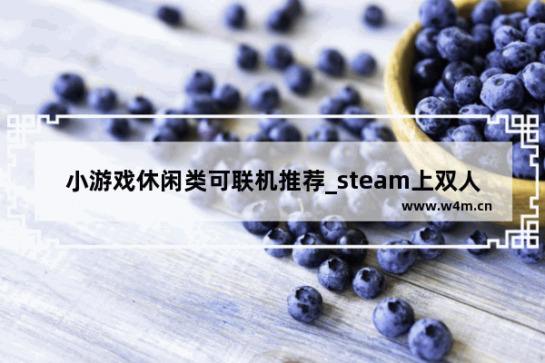 小游戏休闲类可联机推荐_steam上双人联机休闲游戏