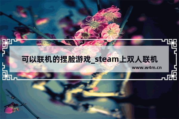 可以联机的捏脸游戏_steam上双人联机休闲游戏