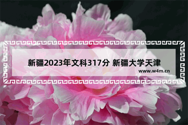 新疆2023年文科317分 新疆大学天津高考分数线