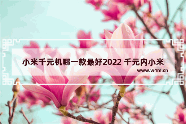 小米千元机哪一款最好2022 千元内小米手机推荐性价比高