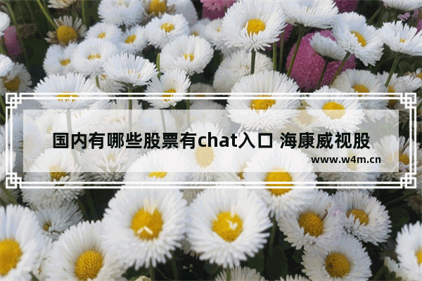 国内有哪些股票有chat入口 海康威视股票行情最新消息今天