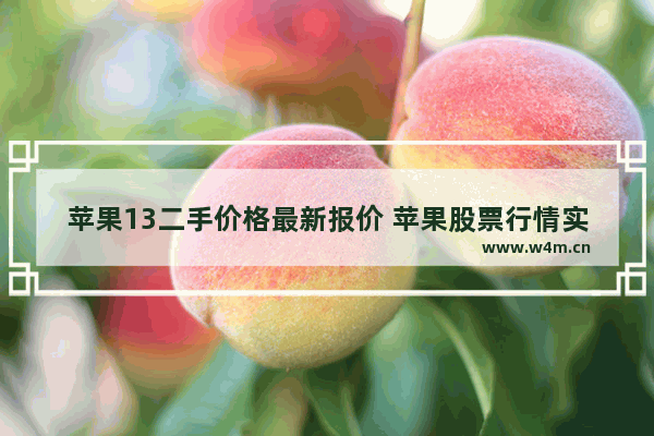 苹果13二手价格最新报价 苹果股票行情实时查询