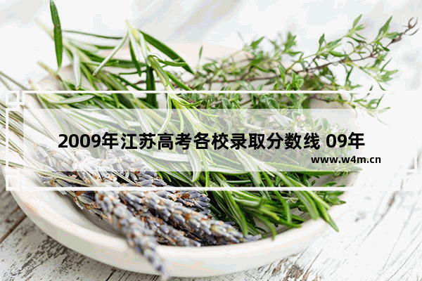 2009年江苏高考各校录取分数线 09年的江苏高考分数线