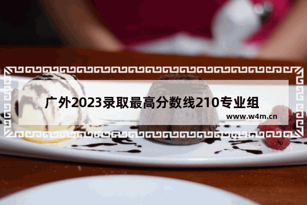 广外2023录取最高分数线210专业组 广东外语外贸高考分数线