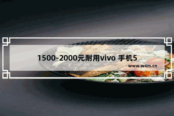 1500-2000元耐用vivo 手机5g 二千左右5g手机推荐