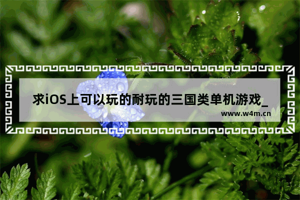 求iOS上可以玩的耐玩的三国类单机游戏_2021建议女生买的苹果手机