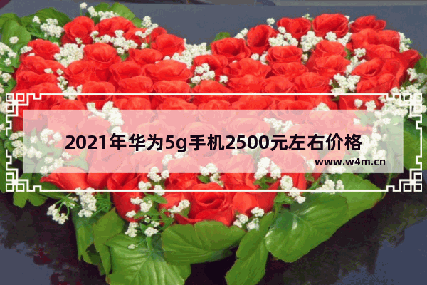 2021年华为5g手机2500元左右价格的哪款手机好_2000元左右麒麟芯片的5G手机