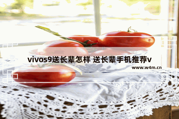 vivos9送长辈怎样 送长辈手机推荐vivo