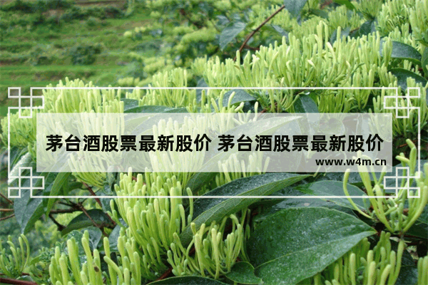 茅台酒股票最新股价 茅台酒股票最新股价