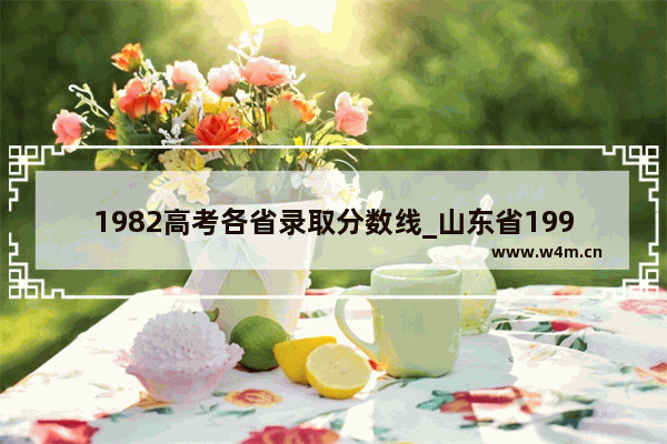 1982高考各省录取分数线_山东省1998年高考分数线