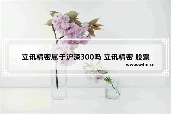 立讯精密属于沪深300吗 立讯精密 股票 新浪