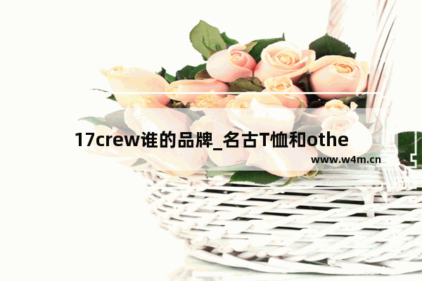 17crew谁的品牌_名古T恤和other这两个哪个牌子的运动女装好