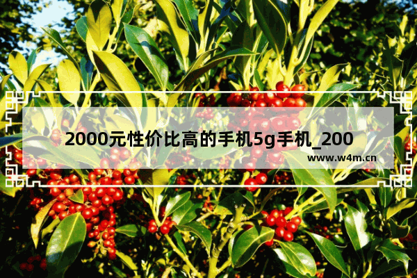 2000元性价比高的手机5g手机_2000元左右值得入手的5g手机