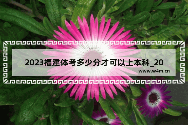 2023福建体考多少分才可以上本科_2023年福建省体育生录取标准