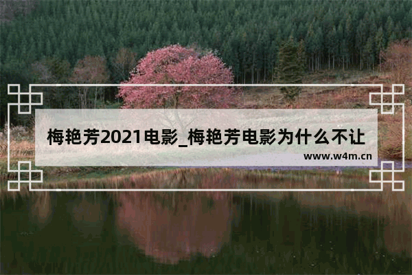 梅艳芳2021电影_梅艳芳电影为什么不让看了