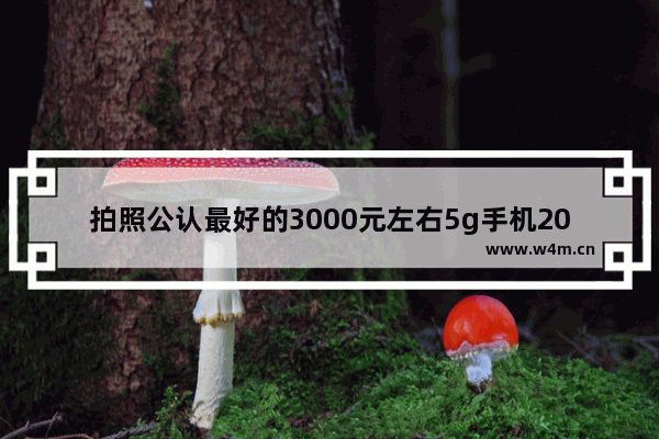 拍照公认最好的3000元左右5g手机2021 最近二千元左右5g手机推荐一下有哪些