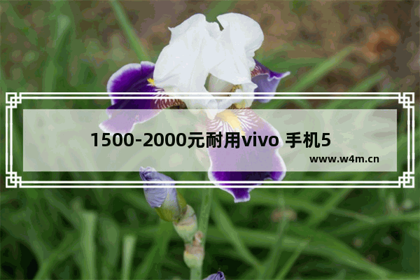 1500-2000元耐用vivo 手机5g 二千多5g手机推荐一下有哪些