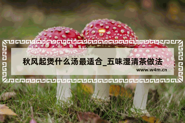 秋风起煲什么汤最适合_五味湿清茶做法