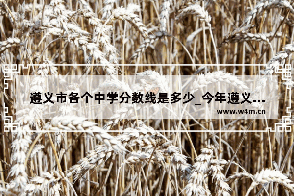 遵义市各个中学分数线是多少_今年遵义中考录取分数线是多少