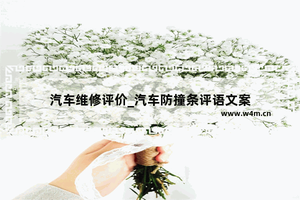 汽车维修评价_汽车防撞条评语文案