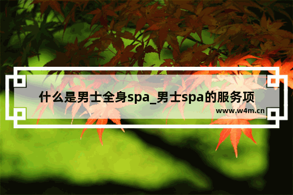 什么是男士全身spa_男士spa的服务项目有哪些