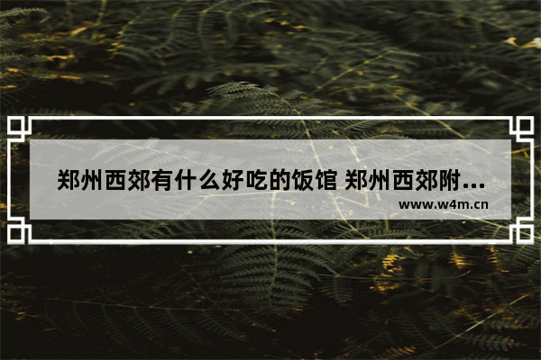 郑州西郊有什么好吃的饭馆 郑州西郊附近美食推荐