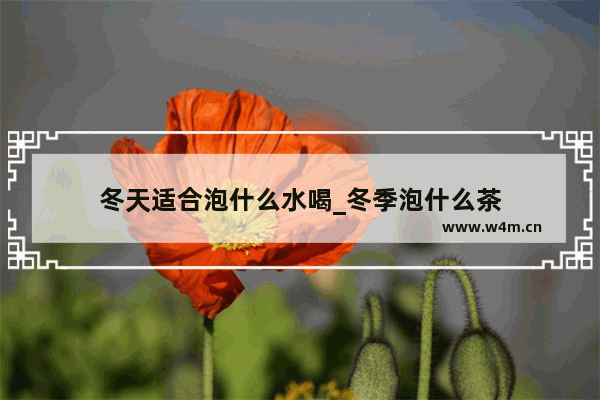 冬天适合泡什么水喝_冬季泡什么茶