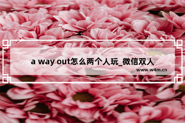 a way out怎么两个人玩_微信双人联机小游戏