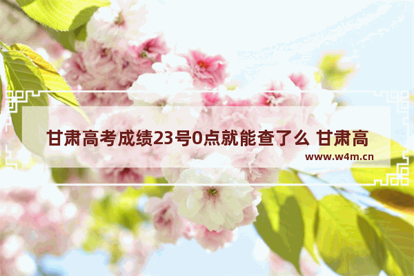 甘肃高考成绩23号0点就能查了么 甘肃高考分数线啥时候差