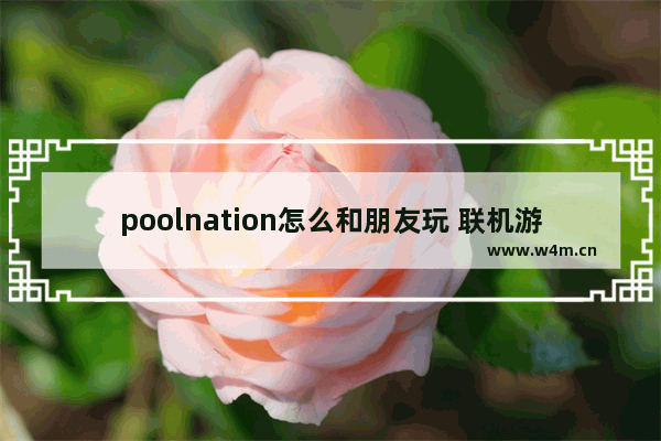 poolnation怎么和朋友玩 联机游戏推荐女生可加好友可对话