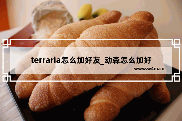 terraria怎么加好友_动森怎么加好友联机