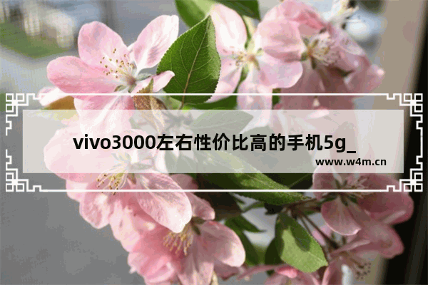 vivo3000左右性价比高的手机5g_3千以内最值得入手的5g手机