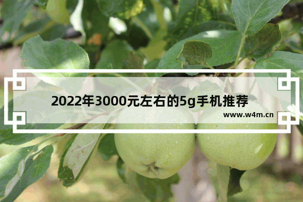 2022年3000元左右的5g手机推荐 二千以内5g手机推荐哪款