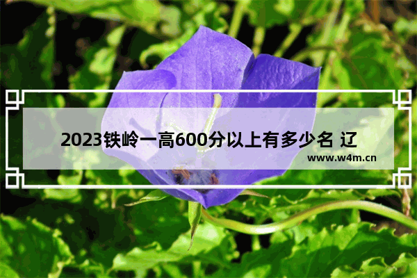 2023铁岭一高600分以上有多少名 辽宁省铁岭高考分数线