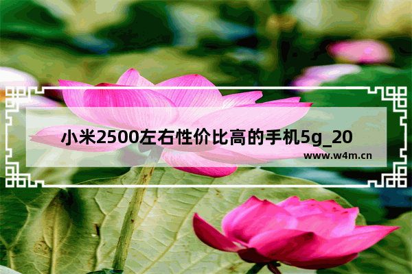 小米2500左右性价比高的手机5g_2000多的曲面屏手机推荐