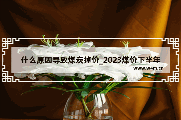 什么原因导致煤炭掉价_2023煤价下半年会大跌吗