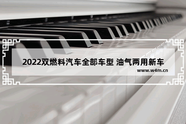 2022双燃料汽车全部车型 油气两用新车推荐自动挡车型有哪些呢