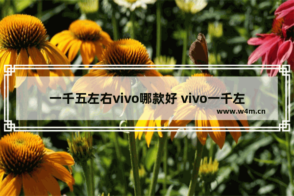 一千五左右vivo哪款好 vivo一千左右手机推荐