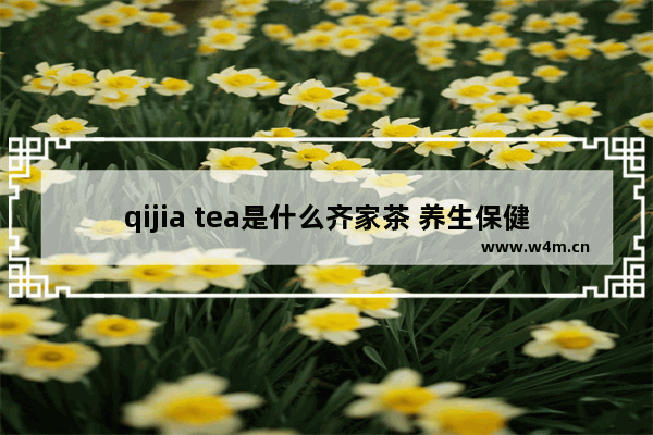 qijia tea是什么齐家茶 养生保健茶品牌