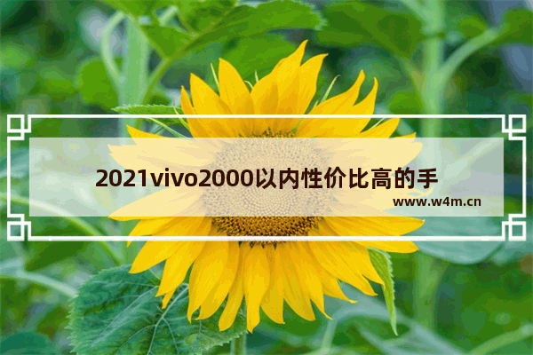 2021vivo2000以内性价比高的手机 两千以下vivo手机推荐