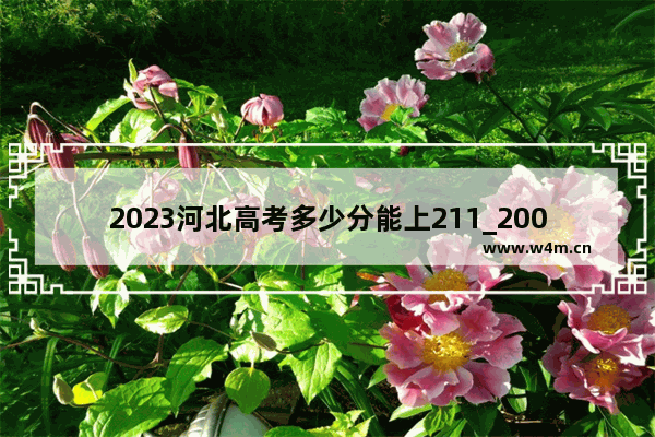 2023河北高考多少分能上211_2001年河北高考分数线