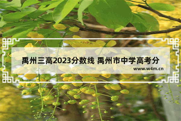 禹州三高2023分数线 禹州市中学高考分数线