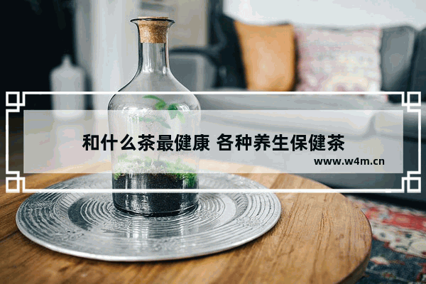 和什么茶最健康 各种养生保健茶