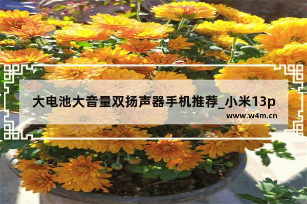 大电池大音量双扬声器手机推荐_小米13pro是不是对称双扬声器