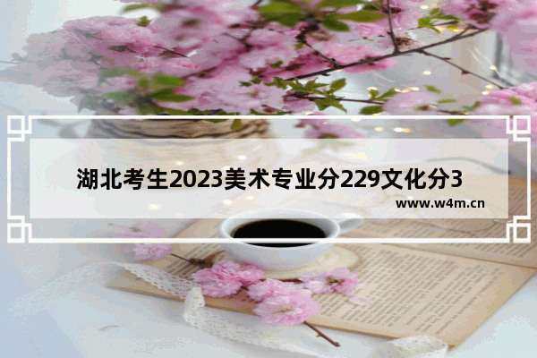 湖北考生2023美术专业分229文化分380可选择的学校_湖北艺考总分多少