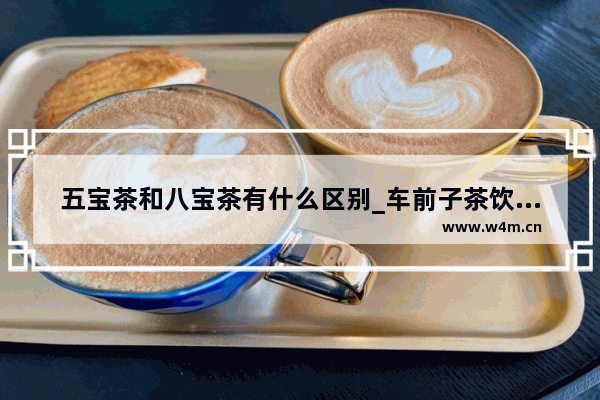 五宝茶和八宝茶有什么区别_车前子茶饮怎么制作