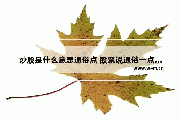 炒股是什么意思通俗点 股票说通俗一点叫什么