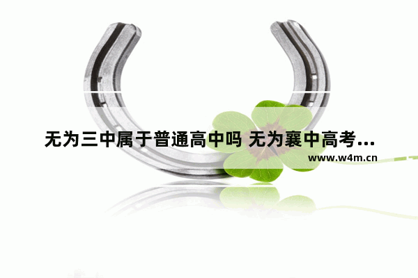 无为三中属于普通高中吗 无为襄中高考分数线出炉