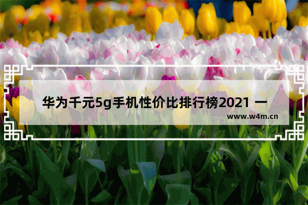 华为千元5g手机性价比排行榜2021 一千块钱5g手机推荐哪款好用一点