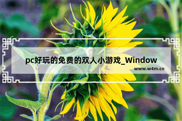 pc好玩的免费的双人小游戏_Windows10自带的游戏有哪些